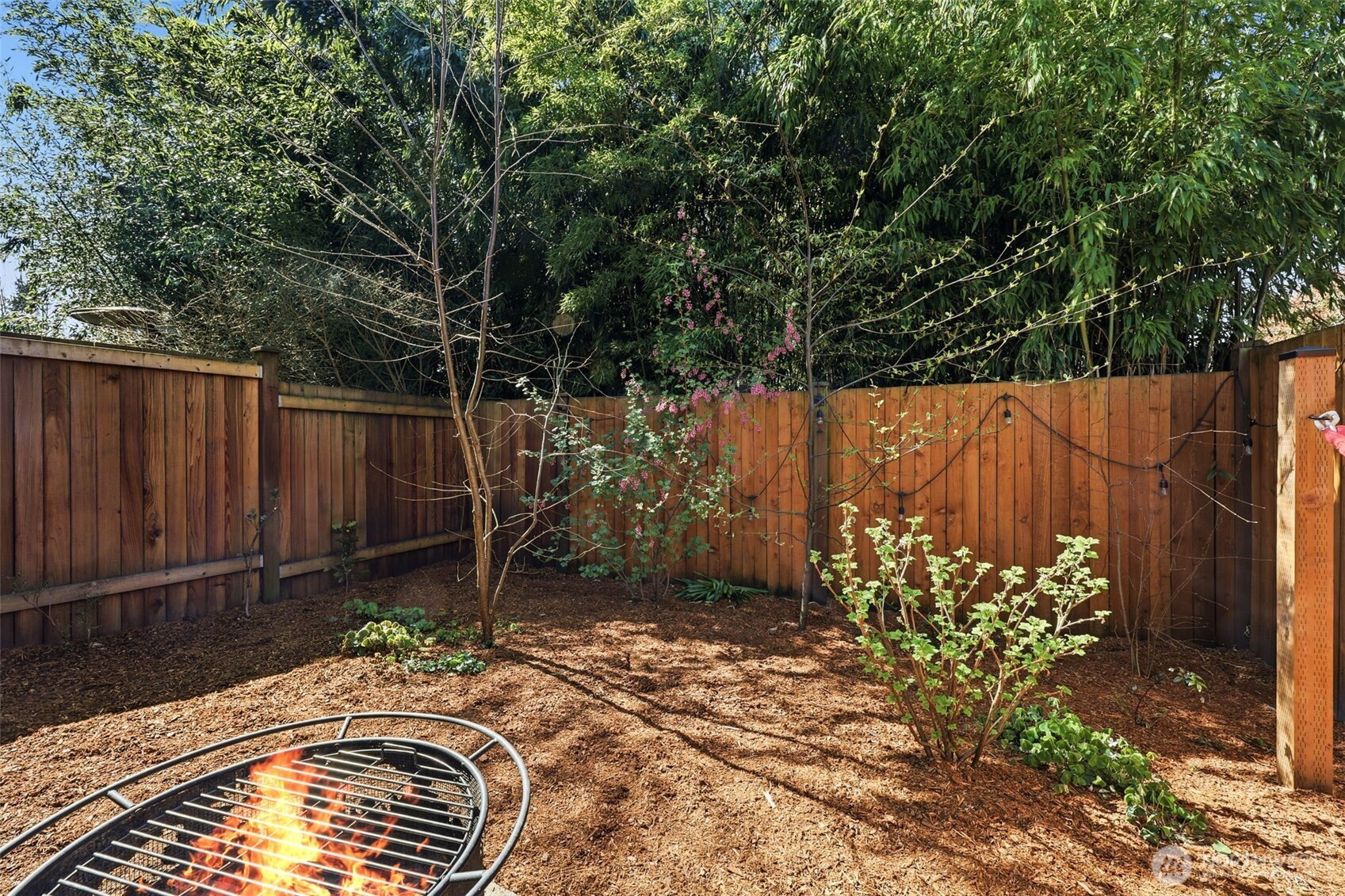 8847 9th Avenue Southwest, Unit A Seattle, WA 98106 - Photo 25 of 31 a view of a backyard with plants and wooden fence