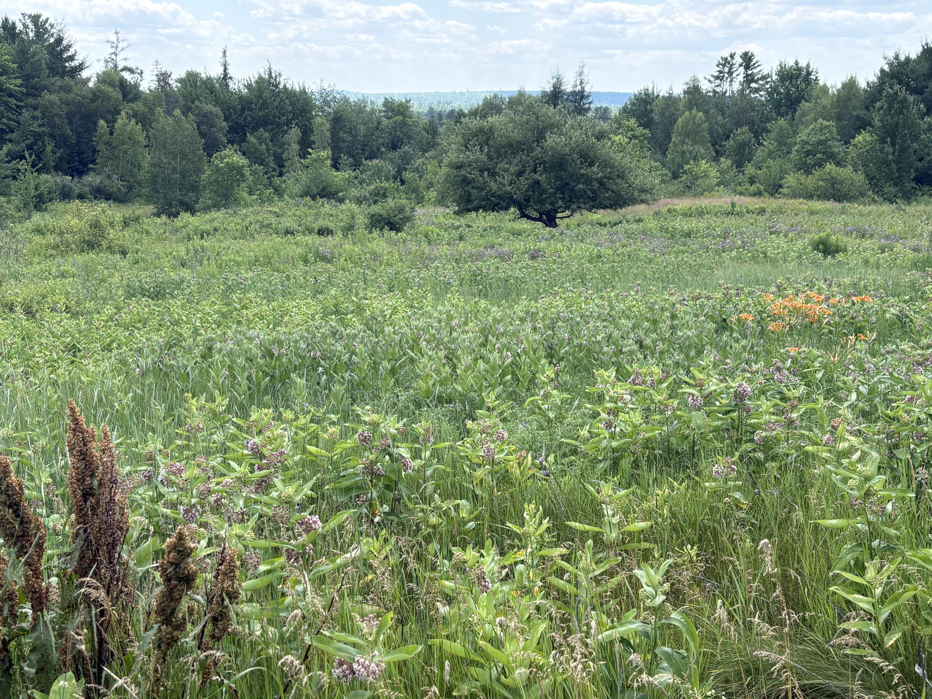 415 Medford Road Milo, ME 04463 - Photo 18 of 18 IMG_3446
