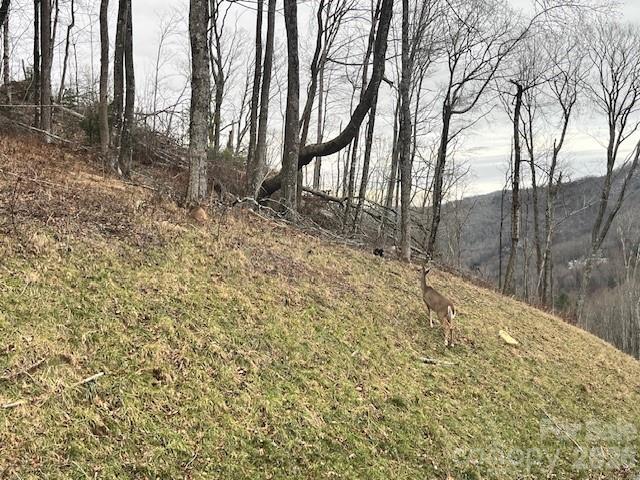 C-114 Spring Water Lane Banner Elk, NC 28604 - Photo 11 of 11