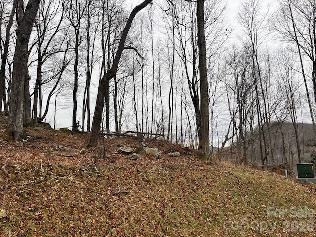 C-114 Spring Water Lane Banner Elk, NC 28604 - Photo 2 of 11