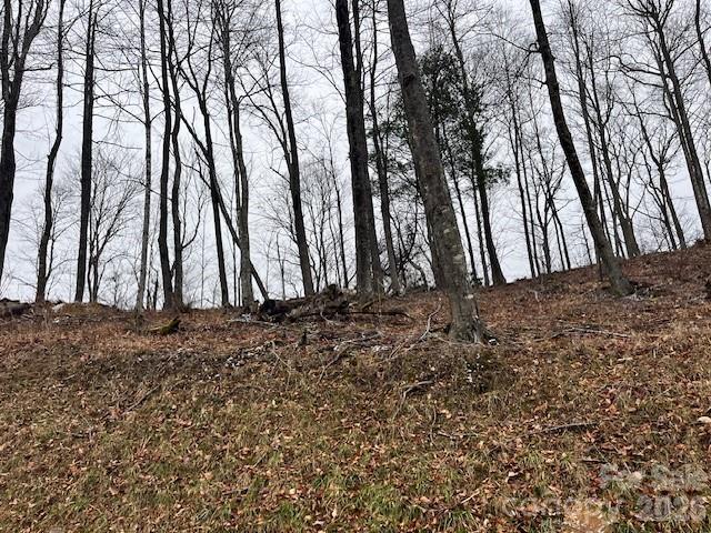 C-114 Spring Water Lane Banner Elk, NC 28604 - Photo 3 of 11