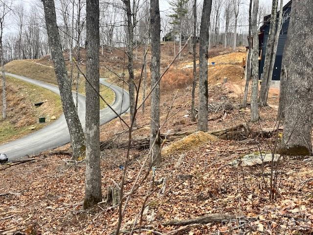 C-114 Spring Water Lane Banner Elk, NC 28604 - Photo 5 of 11