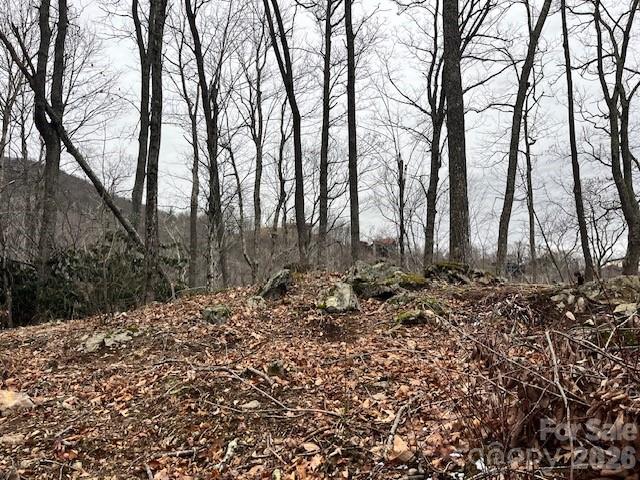 C-114 Spring Water Lane Banner Elk, NC 28604 - Photo 7 of 11