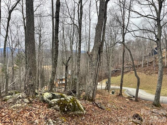 C-114 Spring Water Lane Banner Elk, NC 28604 - Photo 8 of 11