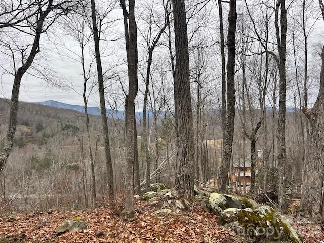 C-114 Spring Water Lane Banner Elk, NC 28604 - Photo 9 of 11