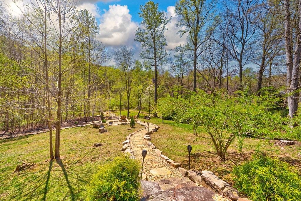 98 Staurolite Mountain Road Blue Ridge, GA 30513 - Photo 56 of 80 Gallery Image 56