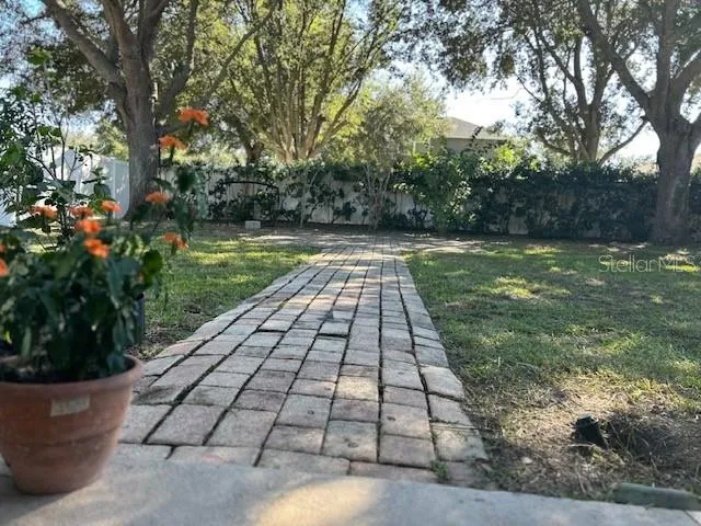 a view of a yard with plants