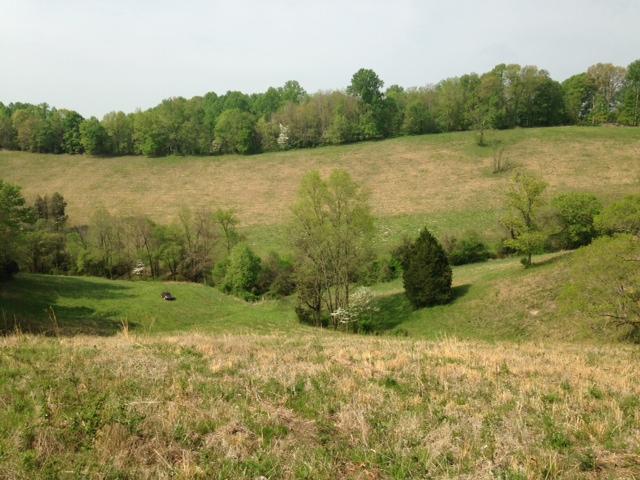 can you believe you are only 5 miles from I-24  centrally located between Chattanooga & Nashville  with such seclusion