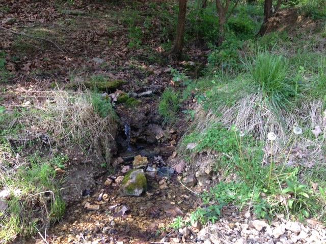 0 Noah Road Manchester, TN 37355 - Photo 11 of 17 one of the wet springs