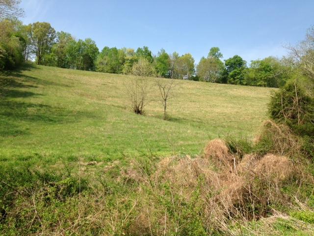 0 Noah Road Manchester, TN 37355 - Photo 13 of 17 open rolling fields offer lots of opportunties
