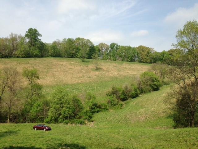0 Noah Road Manchester, TN 37355 - Photo 14 of 17 gorgeous views, great place for livestock