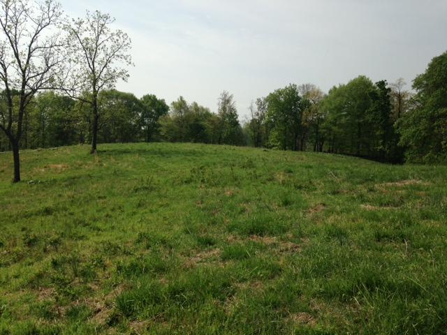 0 Noah Road Manchester, TN 37355 - Photo 15 of 17 this area would be perfect for a vineyard