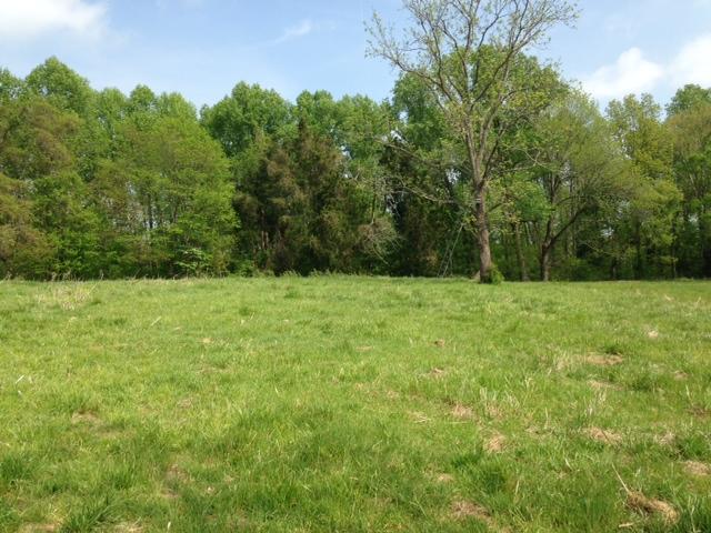 0 Noah Road Manchester, TN 37355 - Photo 16 of 17 another view of this flat area on the ridge