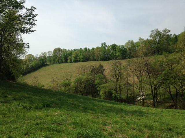 0 Noah Road Manchester, TN 37355 - Photo 17 of 17 imagine building your dream home here. water & electric are available.