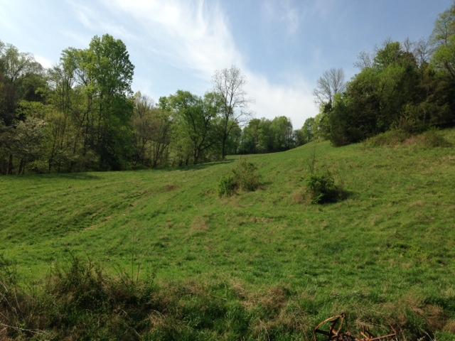 0 Noah Road Manchester, TN 37355 - Photo 10 of 17 Gallery Image 10