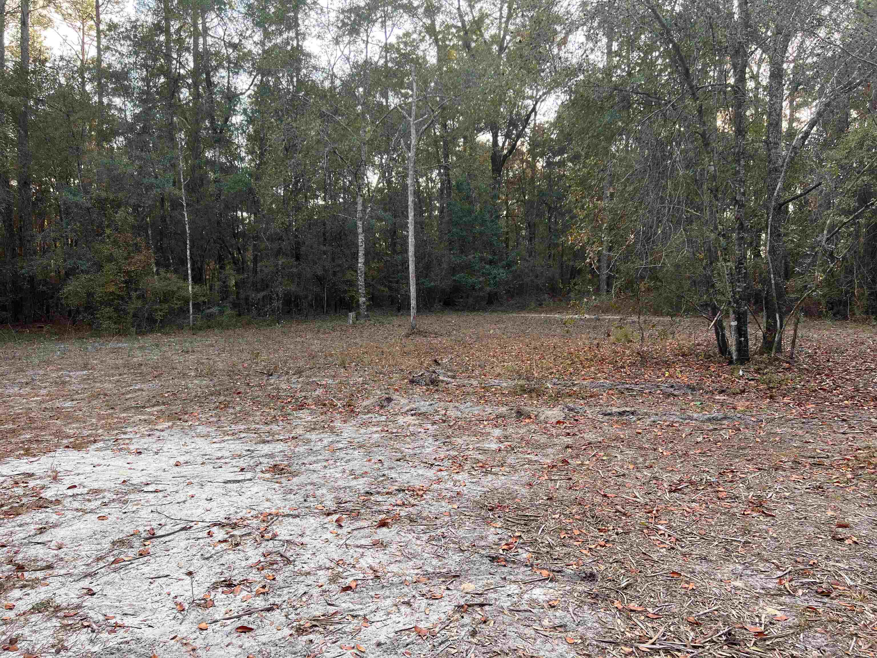 520 New Light Church Road Crawfordville, FL 32327 - Photo 15 of 18
