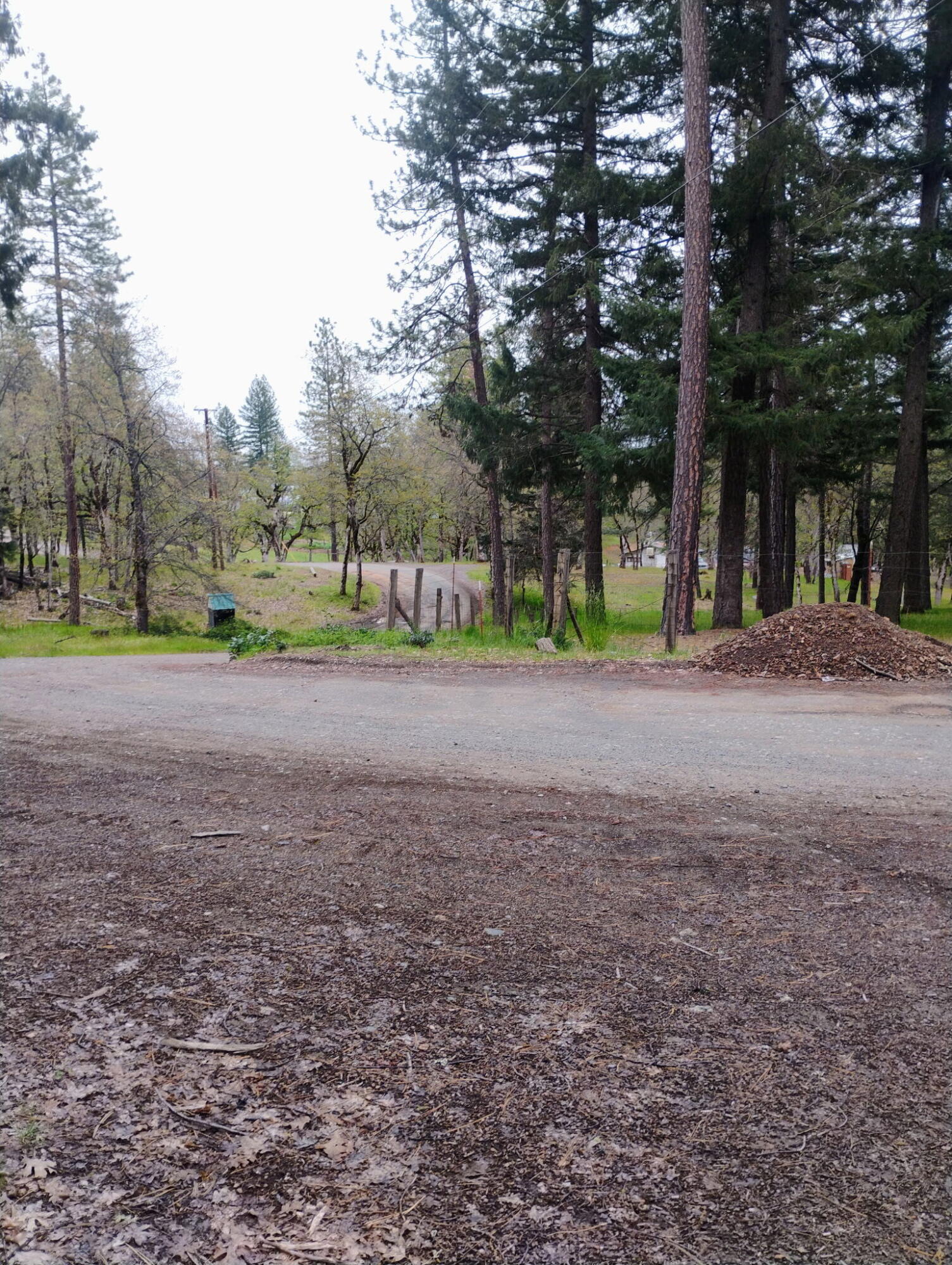 1411 Mc Alexander Road Hayfork, CA 96041 - Photo 32 of 38 Corner