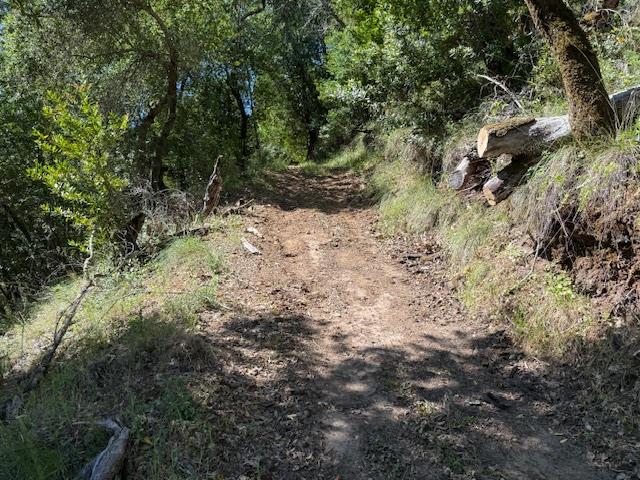 14056 Uvas Road Morgan Hill, CA 95037 - Photo 9 of 24
