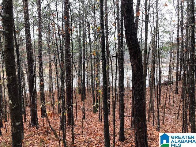 0 Lakeside Lane, Unit 31 Alpine, AL 35014 - Photo 36 of 42