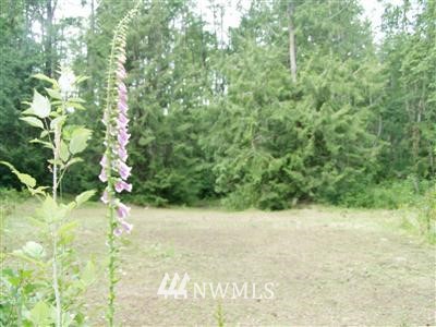 X Arrowhead Road Camano Island, WA 98282 - Photo 2 of 24 Gallery Image 2
