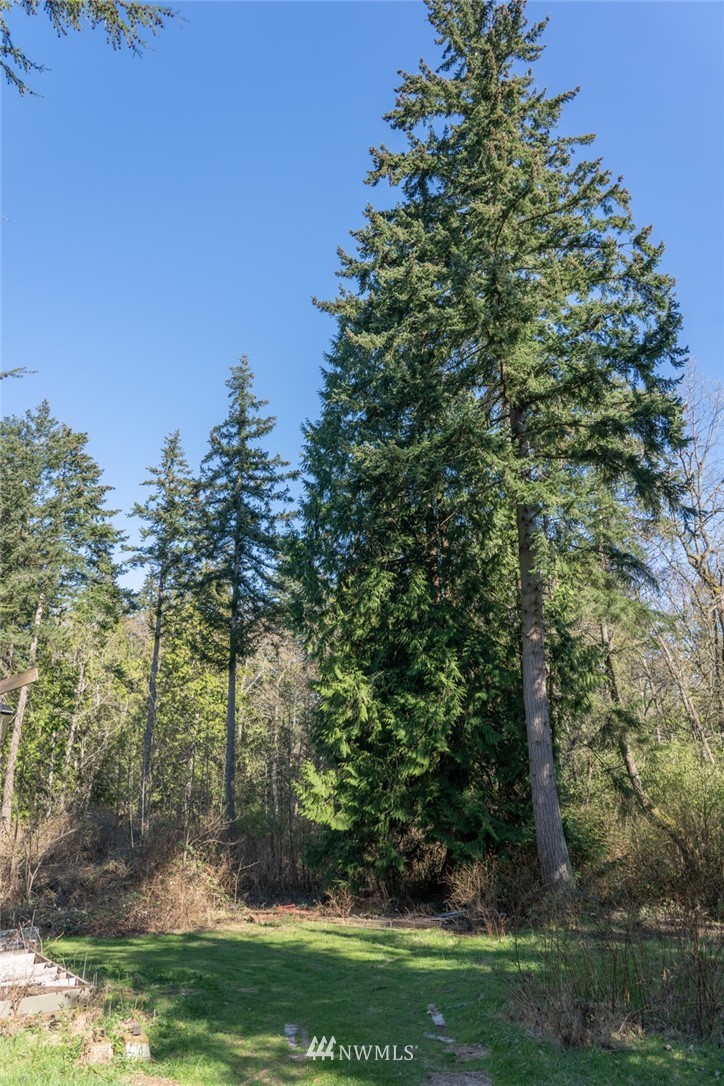 X Arrowhead Road Camano Island, WA 98282 - Photo 12 of 24 Gallery Image 12