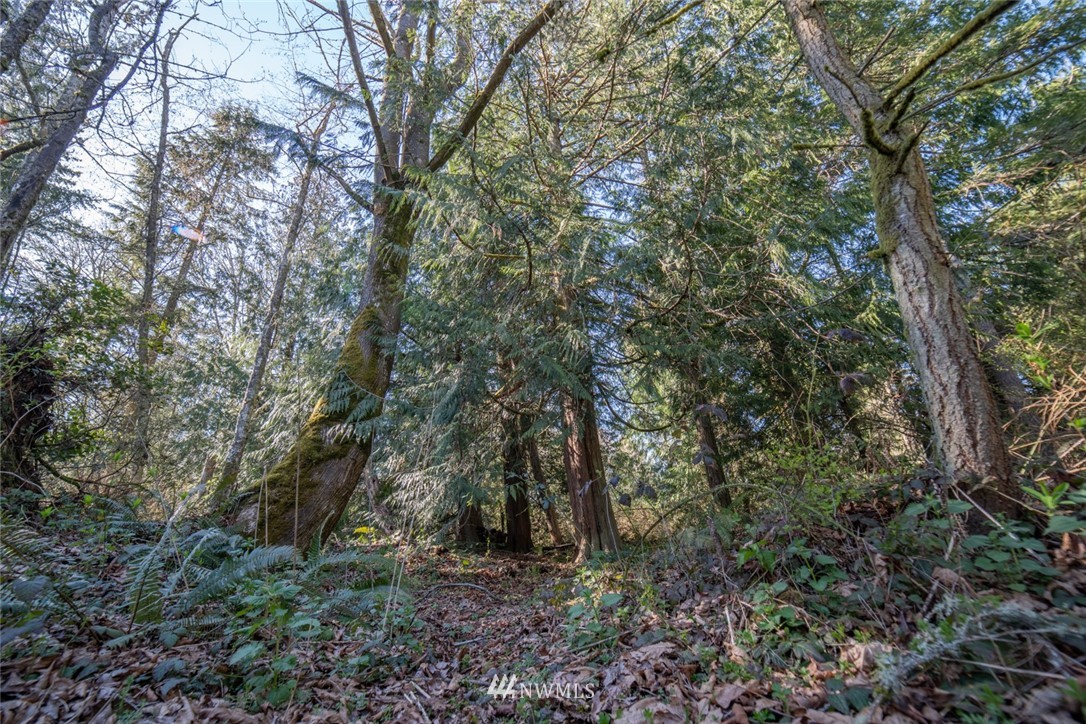 X Arrowhead Road Camano Island, WA 98282 - Photo 17 of 24 Gallery Image 17