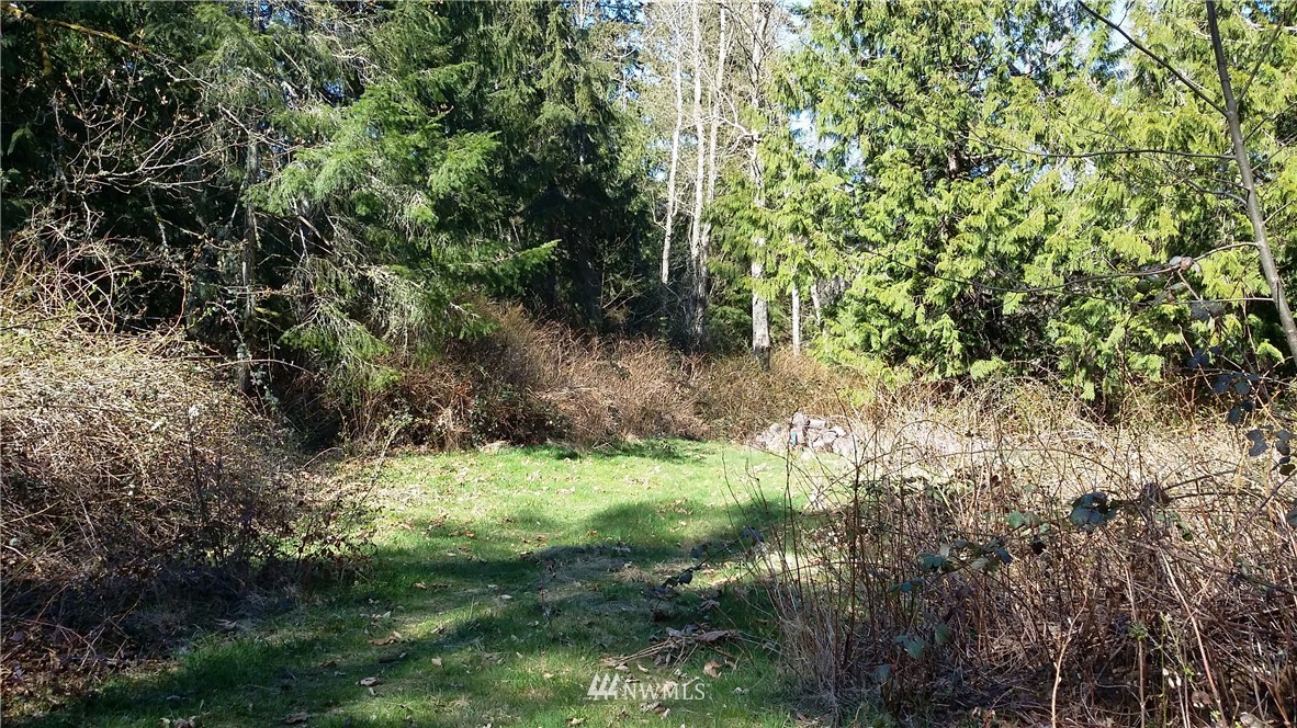 X Arrowhead Road Camano Island, WA 98282 - Photo 3 of 24 Gallery Image 3