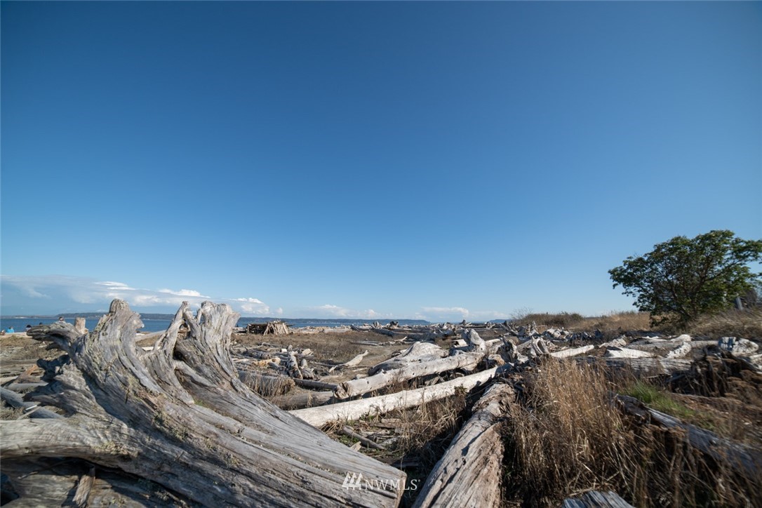 X Arrowhead Road Camano Island, WA 98282 - Photo 22 of 24 Gallery Image 22