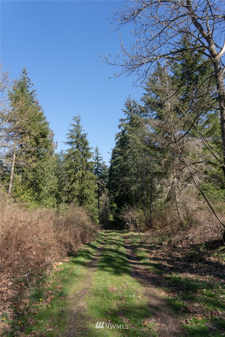 X Arrowhead Road Camano Island, WA 98282 - Photo 23 of 24 Gallery Image 23