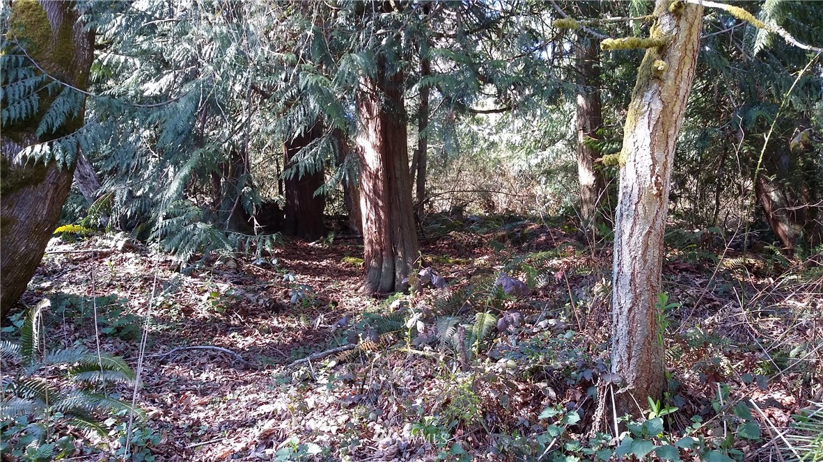 X Arrowhead Road Camano Island, WA 98282 - Photo 4 of 24 Gallery Image 4