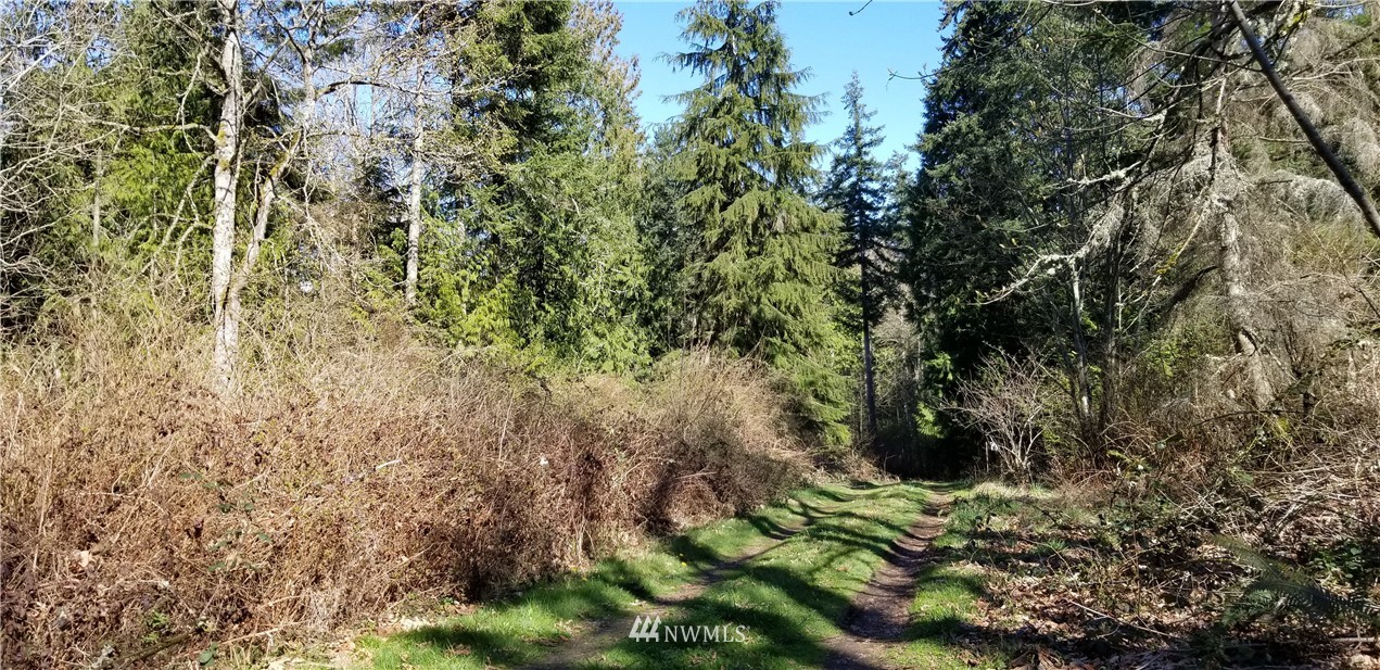 X Arrowhead Road Camano Island, WA 98282 - Photo 5 of 24 Gallery Image 5