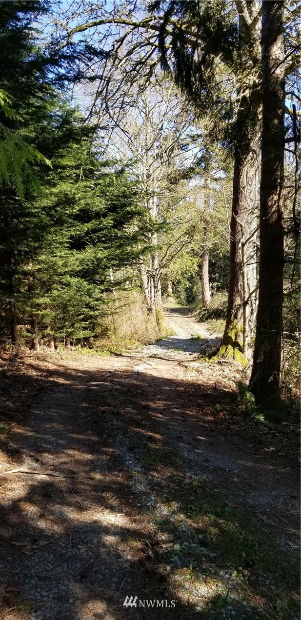 X Arrowhead Road Camano Island, WA 98282 - Photo 6 of 24 Gallery Image 6