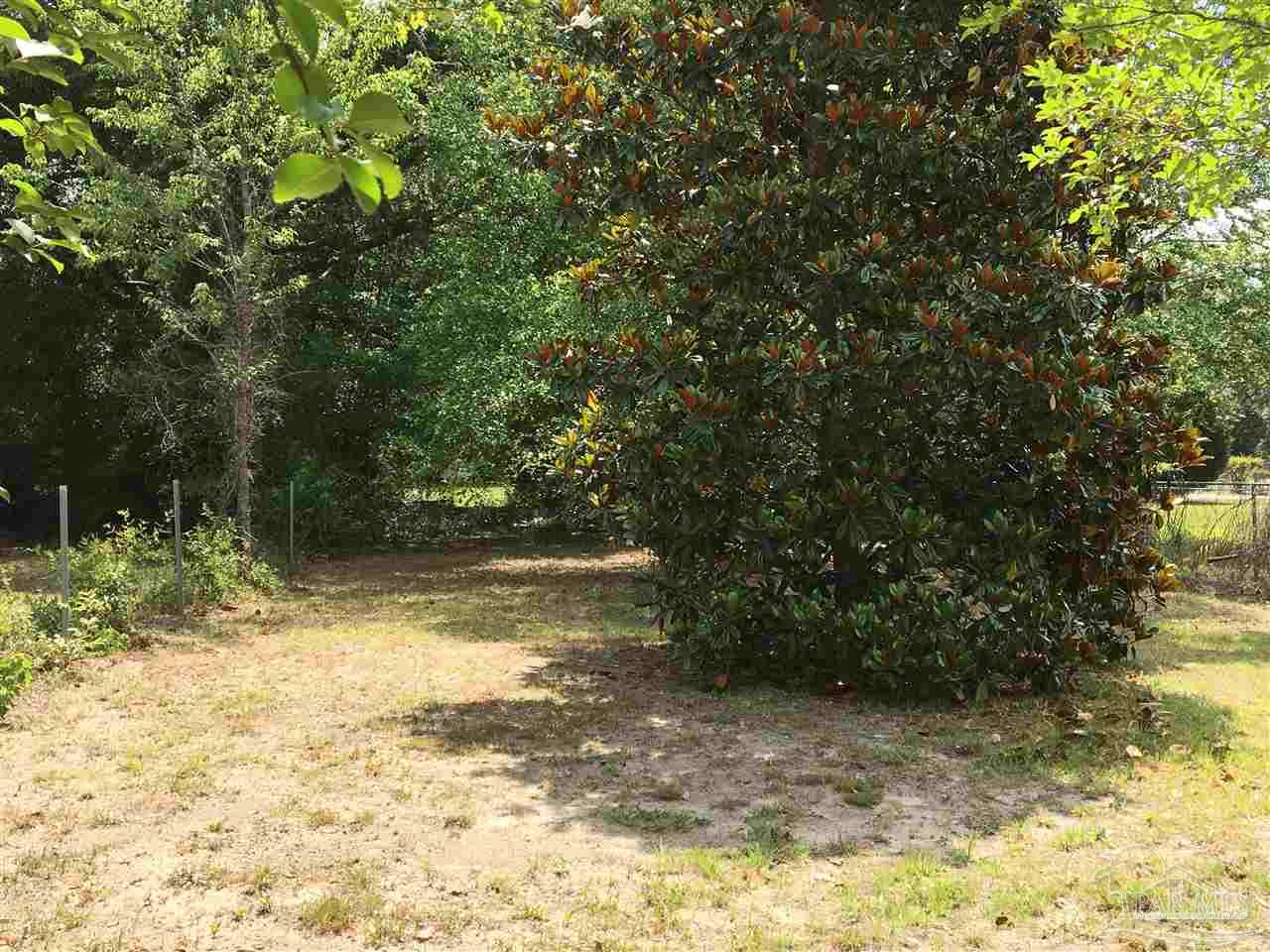 1680 McKenzie Road Cantonment, FL 32533 - Photo 35 of 40 Magnolia Tree by the clothes line