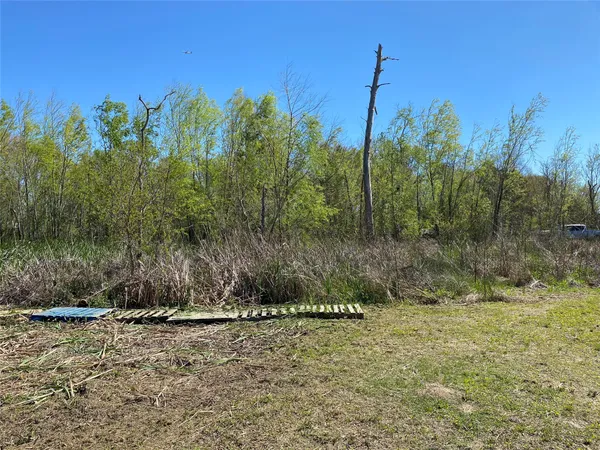 a view of a dry yard with trees