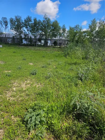 a view of a field of grass and trees