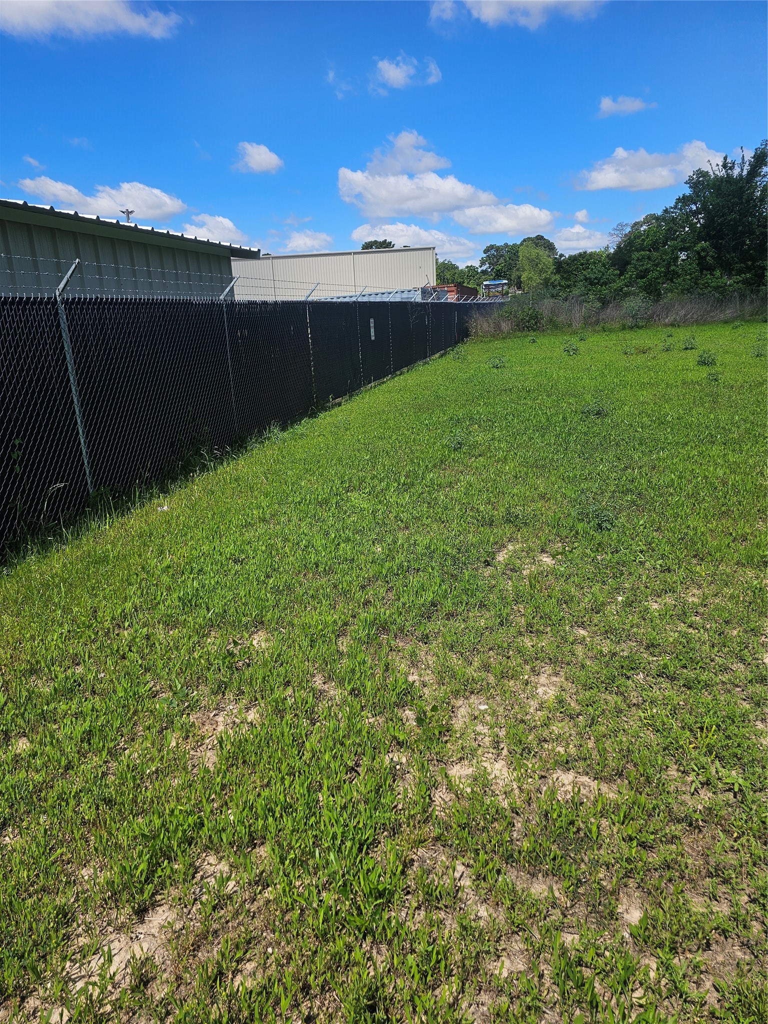 10 Booker Road Spring, TX 77373 - Photo 4 of 7 a view of a backyard