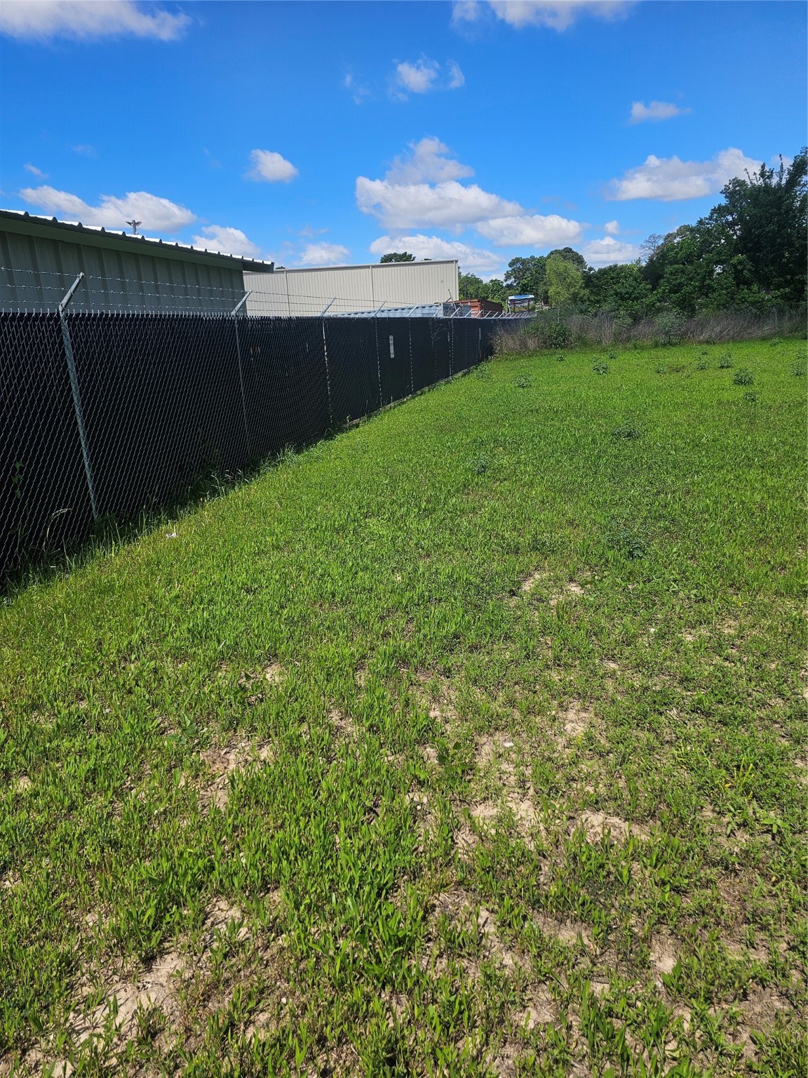 10 Booker Road Spring, TX 77373 - Photo 4 of 7 a view of a backyard