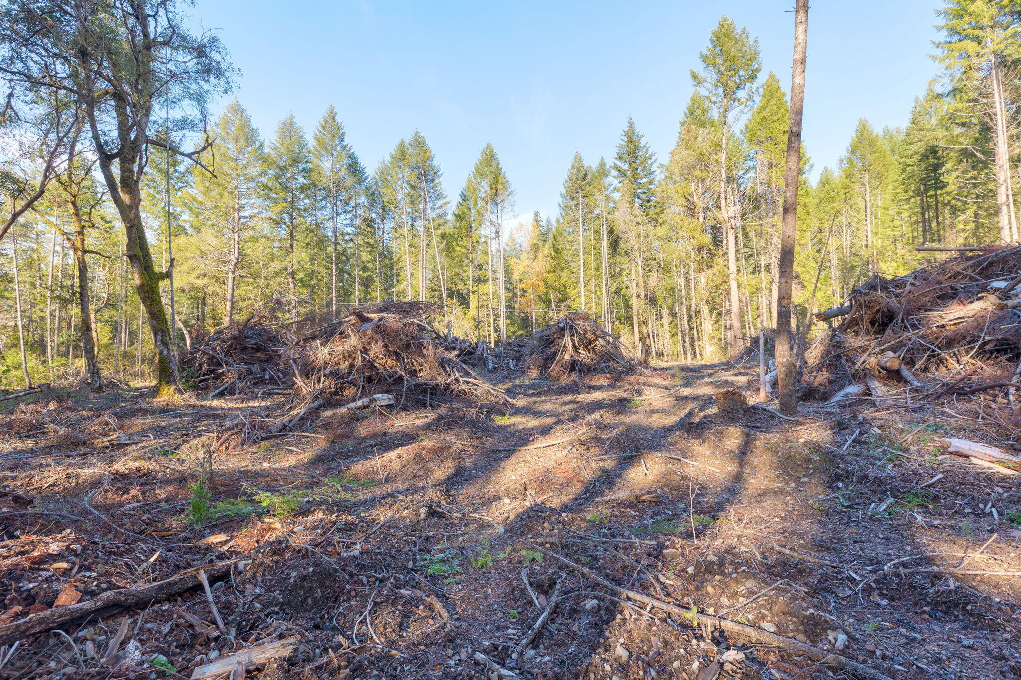 101 3 Mill Road Selma, OR 97538 - Photo 21 of 39 24-web-or-mls-101-3-mill-rd