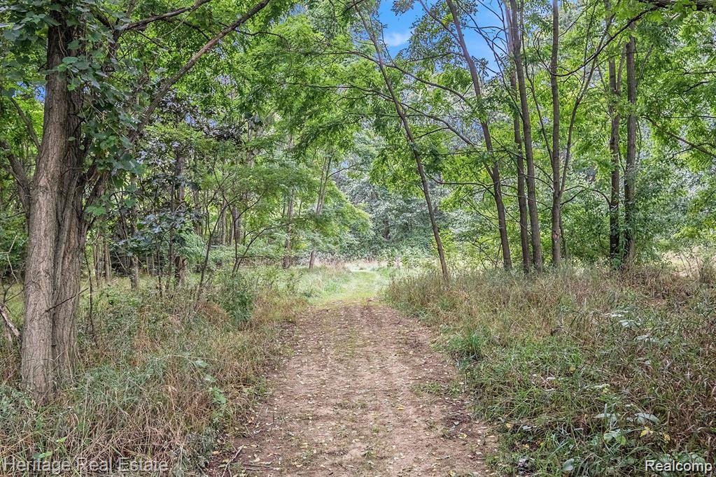 4694 Herd Road Metamora, MI 48455 - Photo 43 of 59 Path to woods