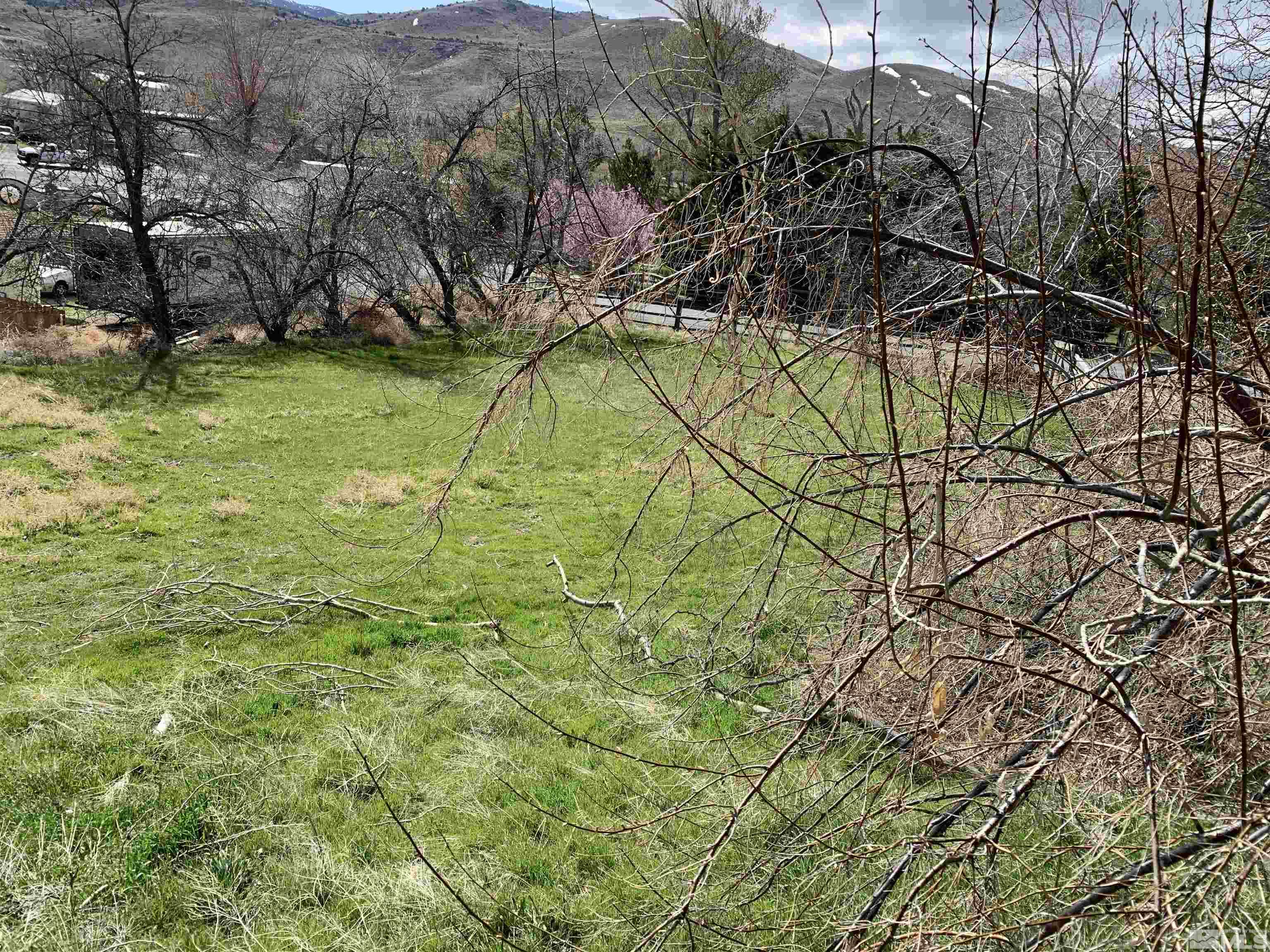 105 Cheyenne Drive Reno, NV 89521 - Photo 22 of 25 a view of swimming pool with a yard