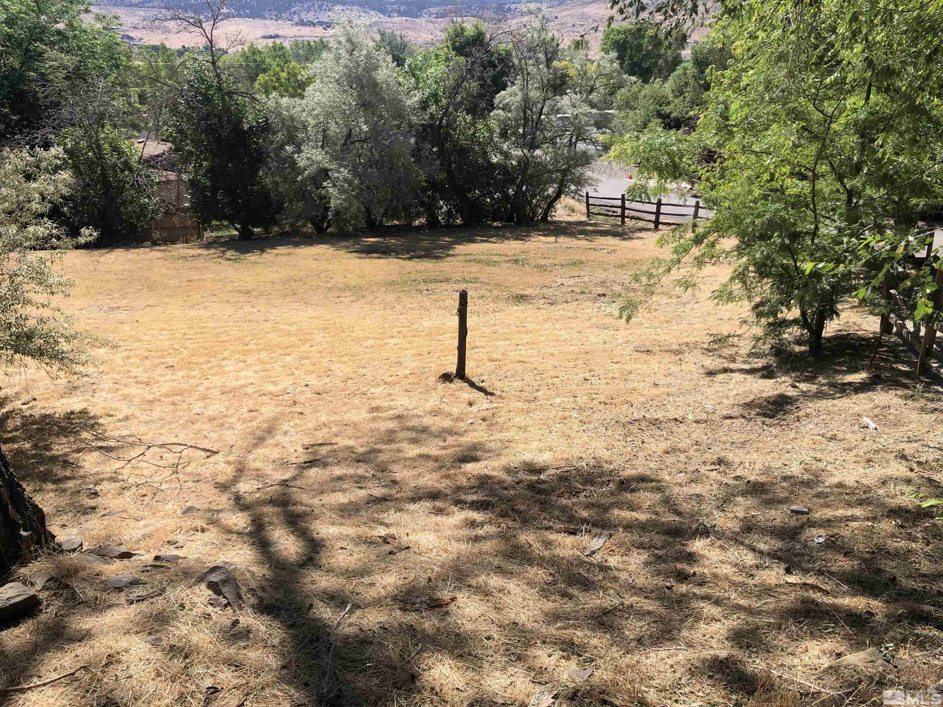 105 Cheyenne Drive Reno, NV 89521 - Photo 23 of 25 a view of a yard with trees