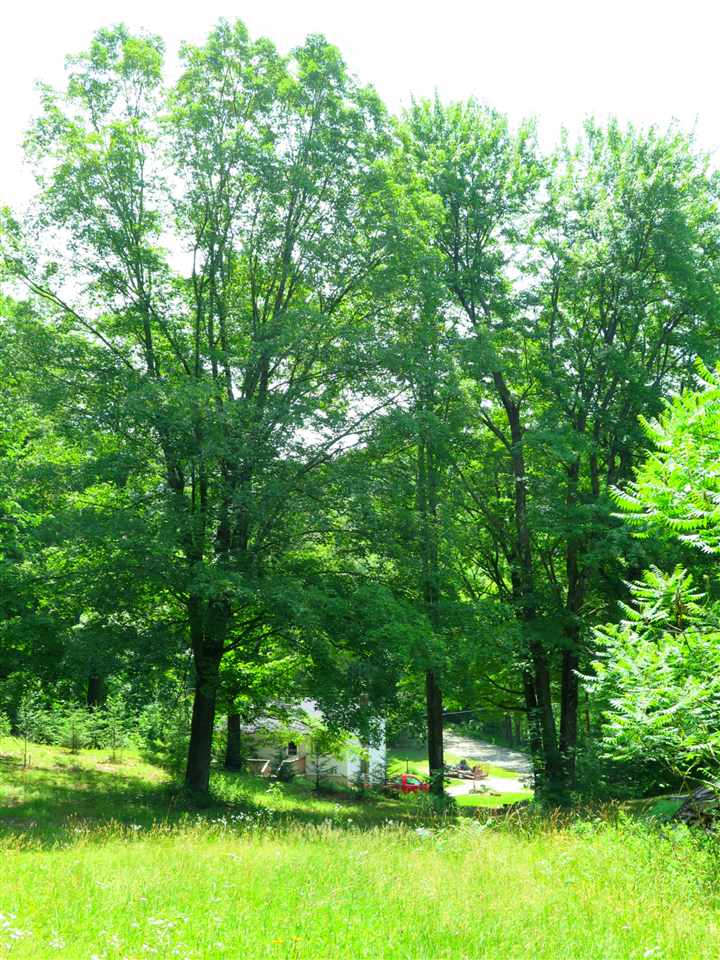 839 Sherman Hollow Road Hinesburg, VT 05461 - Photo 27 of 33 Gallery Image 27
