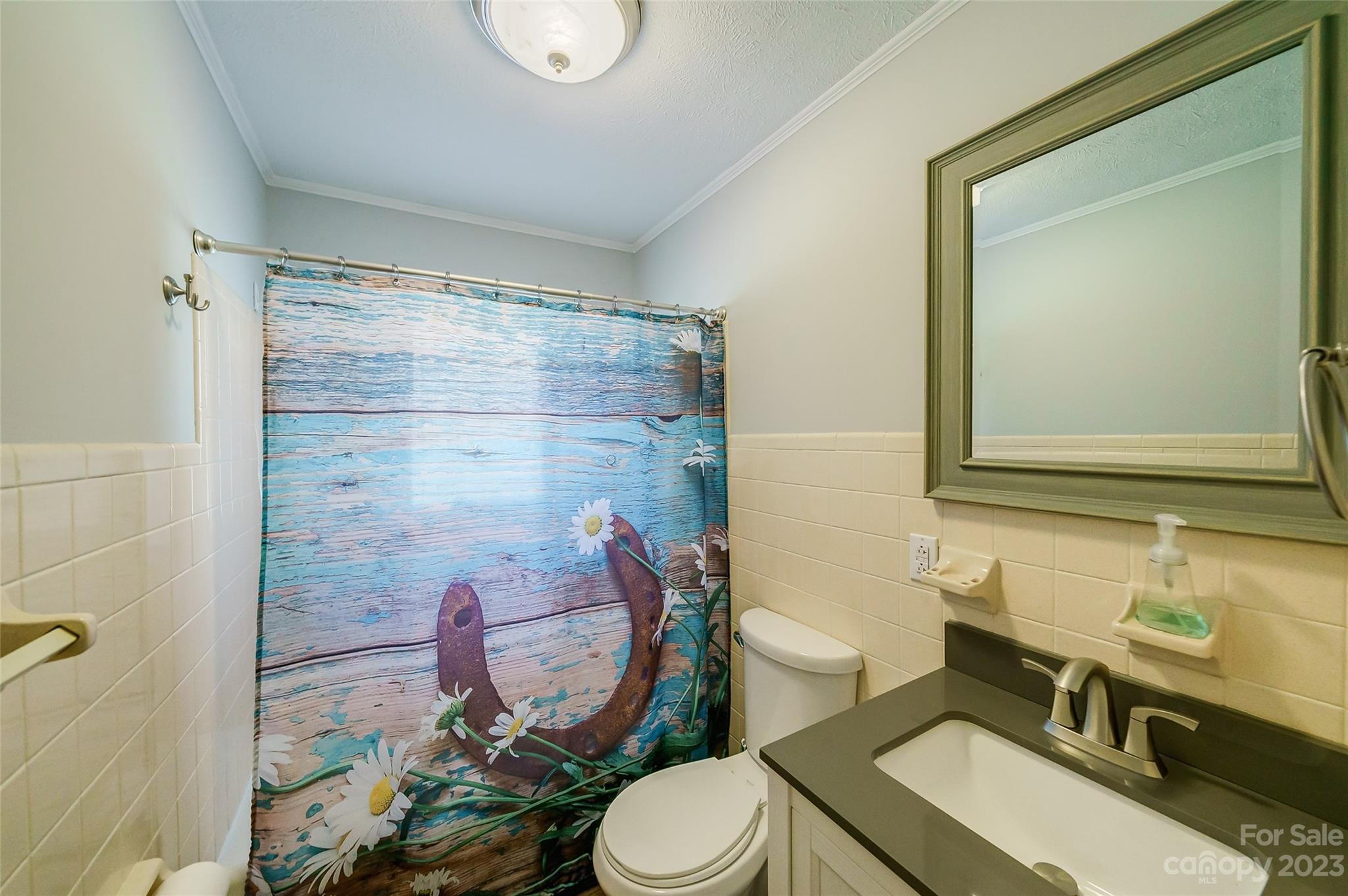 292 Welch Road Lansing, NC 28643 - Photo 23 of 47 a bathroom with a sink a toilet a mirror and shower curtain