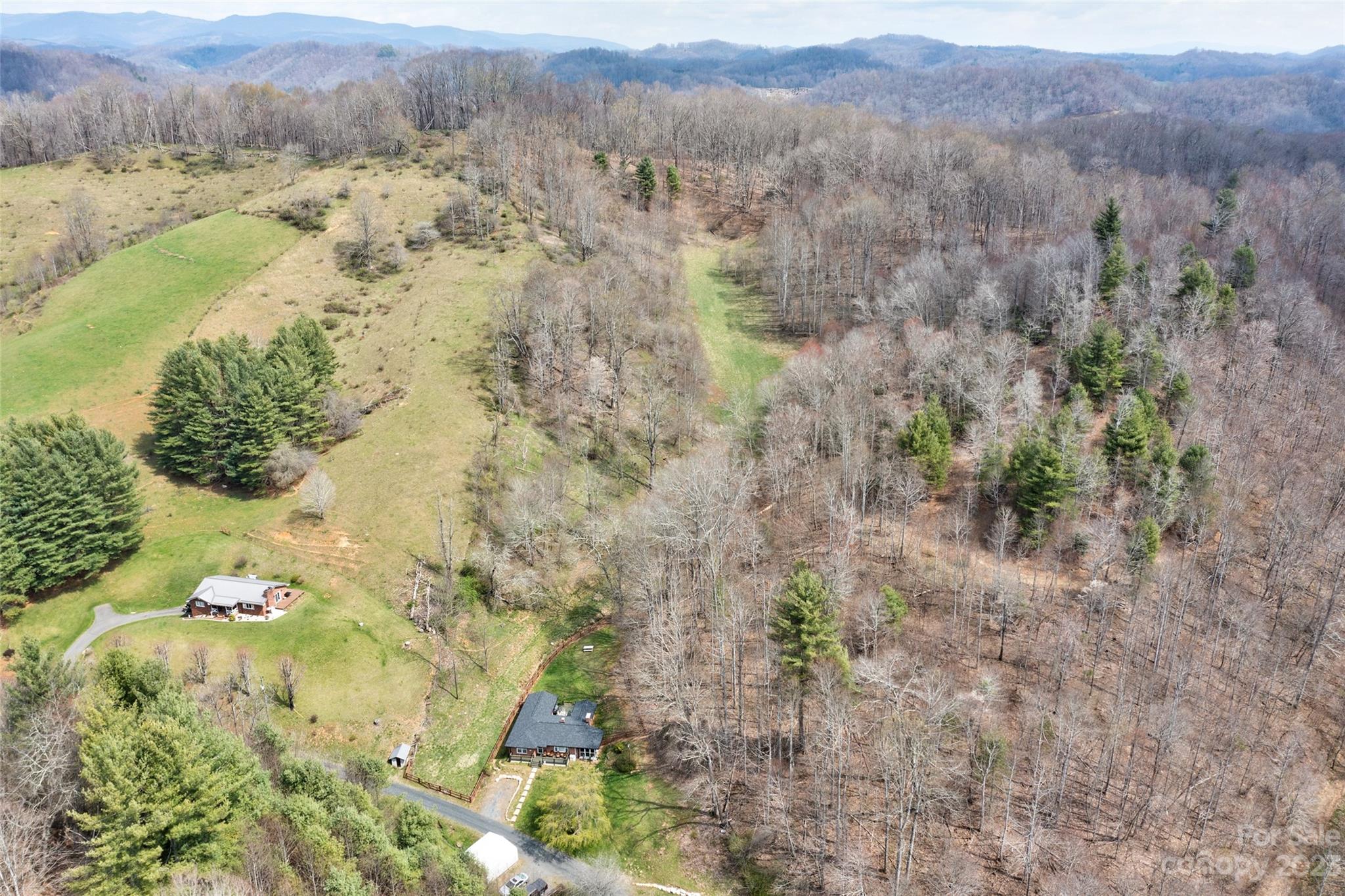 292 Welch Road Lansing, NC 28643 - Photo 41 of 47 a view of a lush green forest with lots of trees