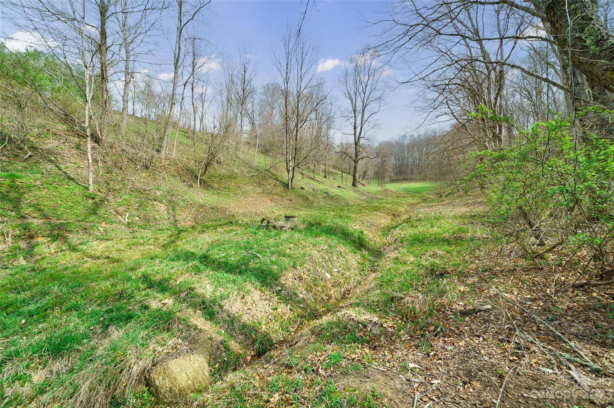 292 Welch Road Lansing, NC 28643 - Photo 42 of 47 a view of backyard of house
