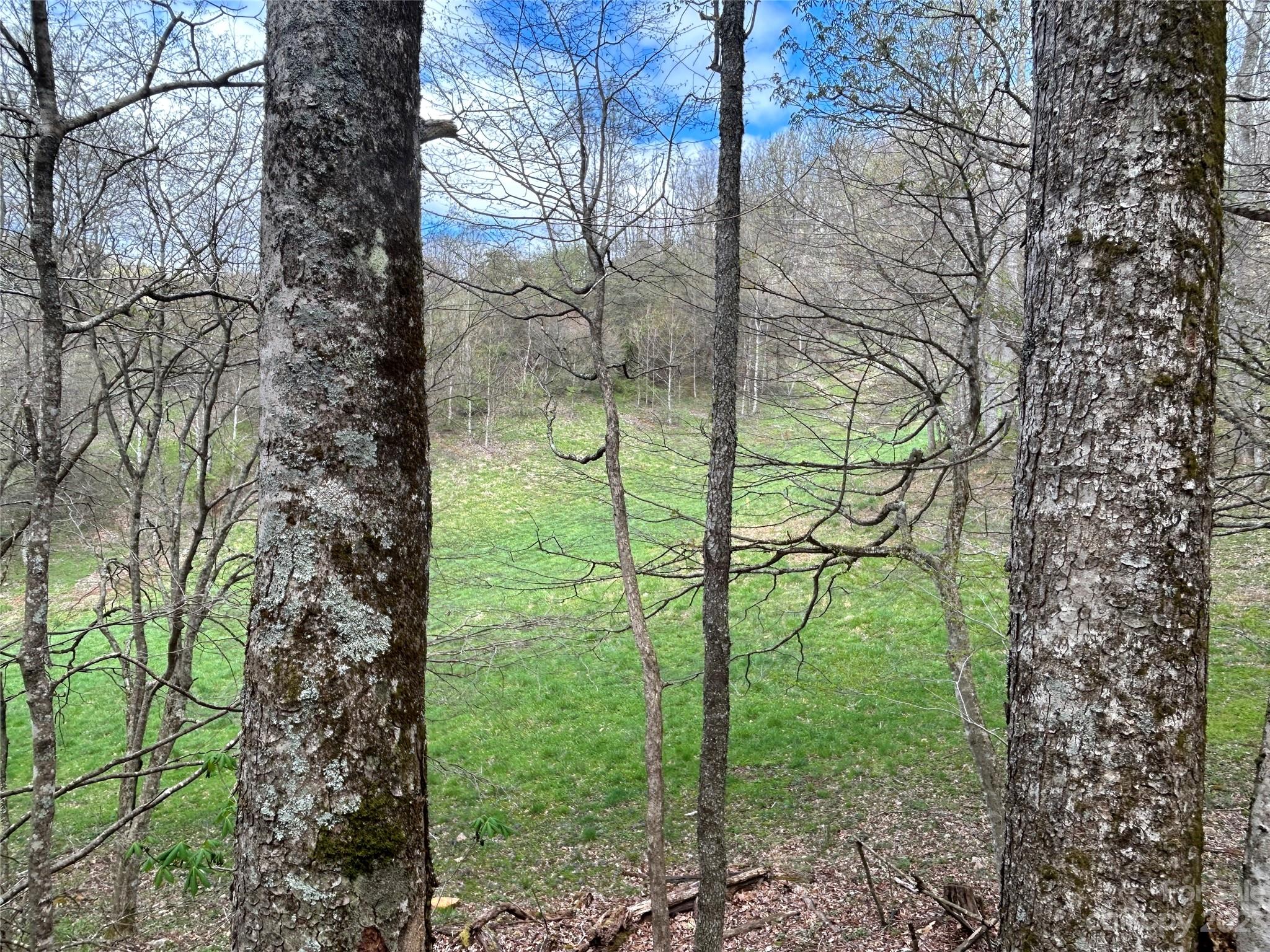 292 Welch Road Lansing, NC 28643 - Photo 44 of 47 a view of yard