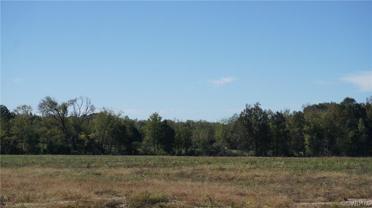 Lot 1 Old Buckingham Road Powhatan, VA 23139 - Photo 1 of 3 Gallery Image 1