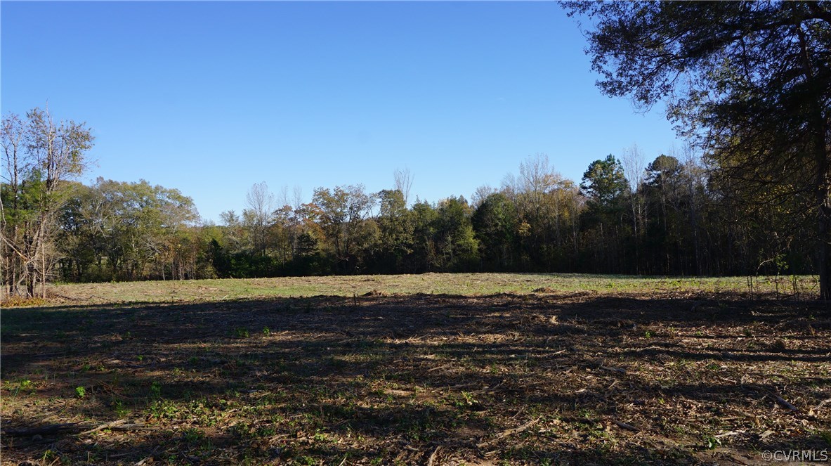 Lot 1 Old Buckingham Road Powhatan, VA 23139 - Photo 2 of 3 Gallery Image 2