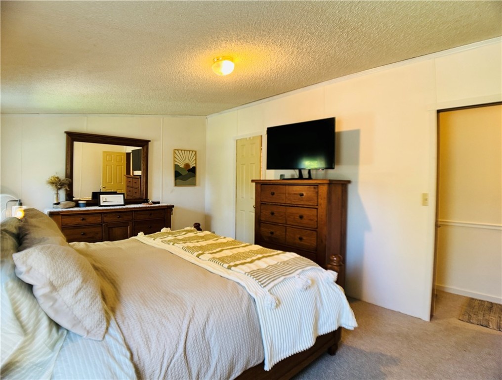 316 Titus Lake Road Harpersfield, NY 12093 - Photo 37 of 48