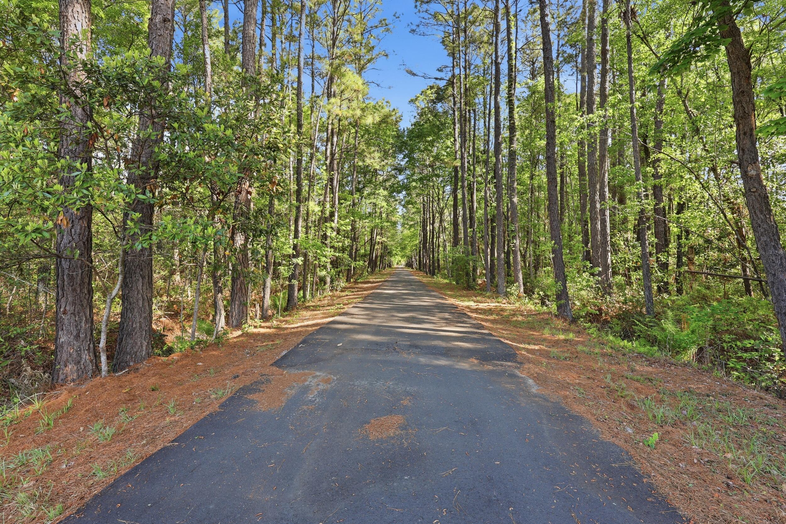 145 Notta Way Summerville, SC 29486 - Photo 56 of 59 ru4a0476